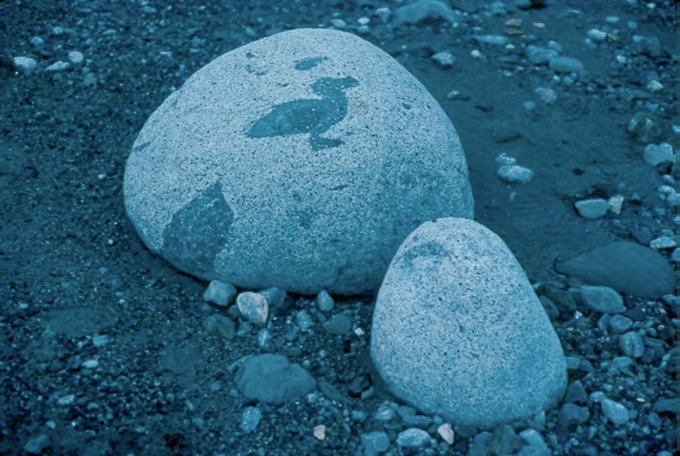 GlacierBayC02