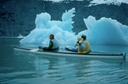 GlacierBayF02