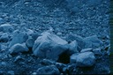 GlacierBayG03