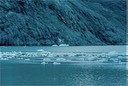 GlacierBayH01
