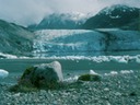 GlacierBayI01