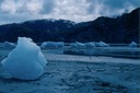 GlacierBayS02