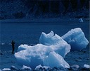 GlacierBayV03