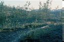GlacierBayY02