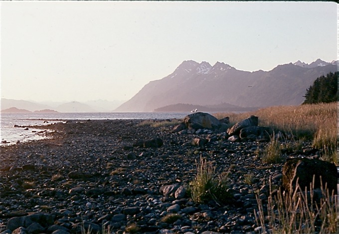 GlacierBayZb01