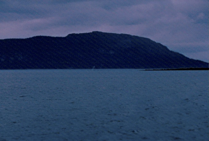 GlacierBayZc02