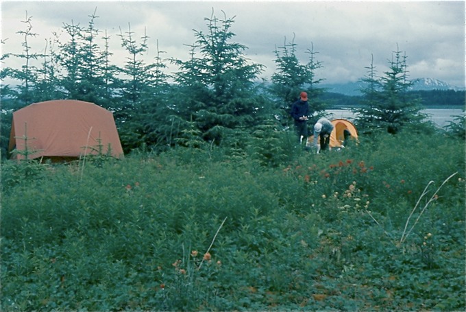 GlacierBayZe02