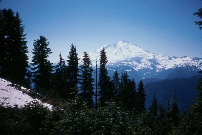 GlacierPkD