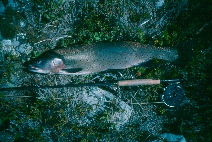High_Mtn_Lake_Trip_1994_14