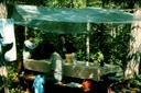 LC_cabinIf01