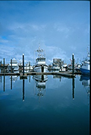 marina101