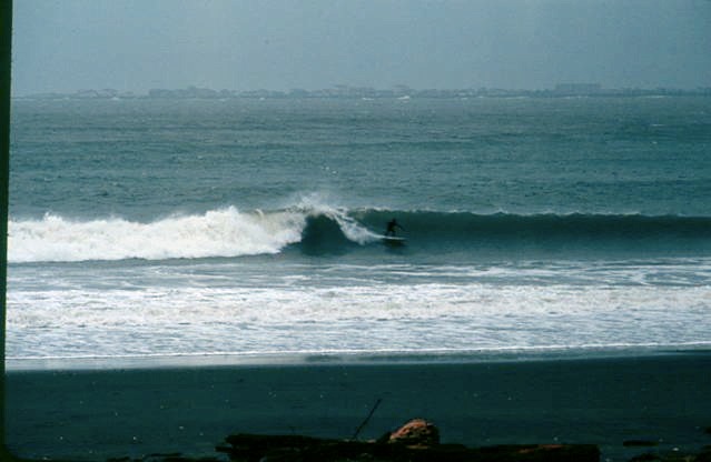 marina102