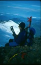 Mt_Baker_North_F