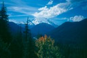 Mt_Rainier_1994_16