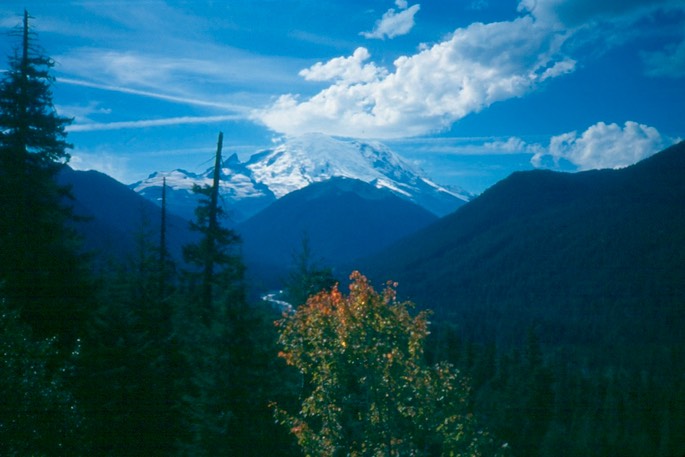 Mt_Rainier_1994_16