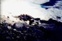 Mt_Sperry_1982_25