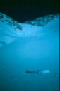 MtMcKinlyBf-1