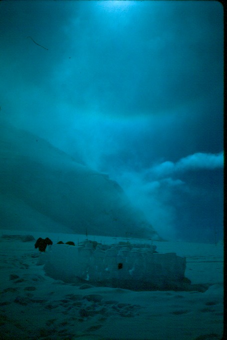 MtMcKinlyBk-1