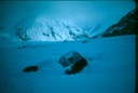 MtMcKinlyBk-2