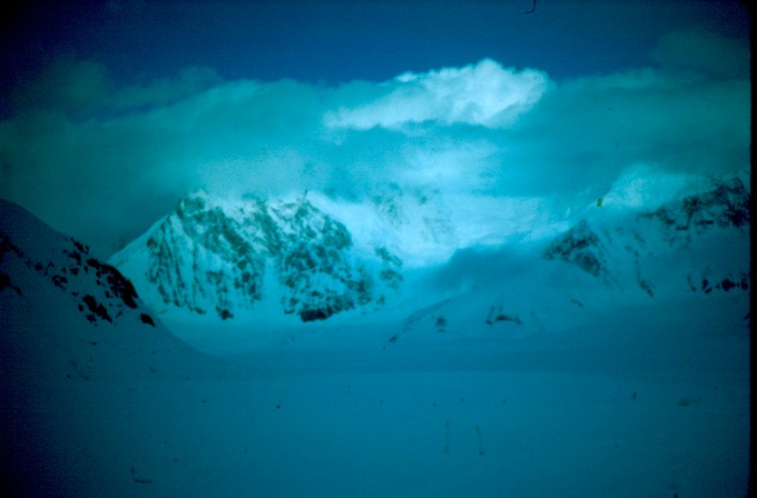 MtMcKinlyBm