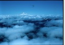 MtStHelens6901