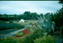 NewZealand_1989_Ak-3