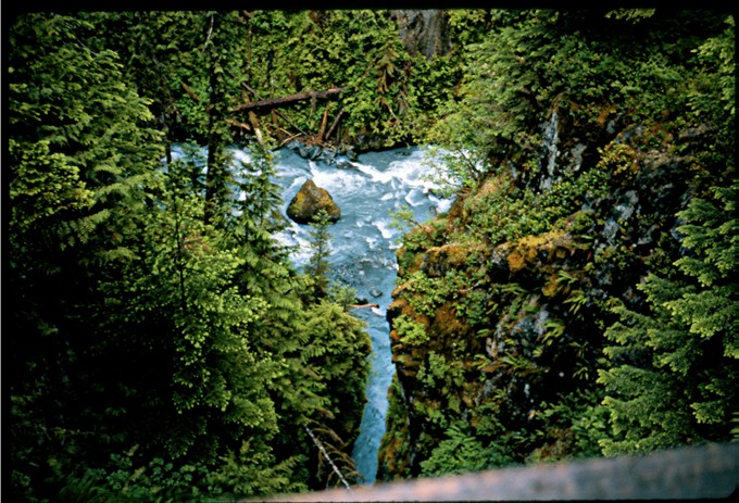 Olympus2n49
