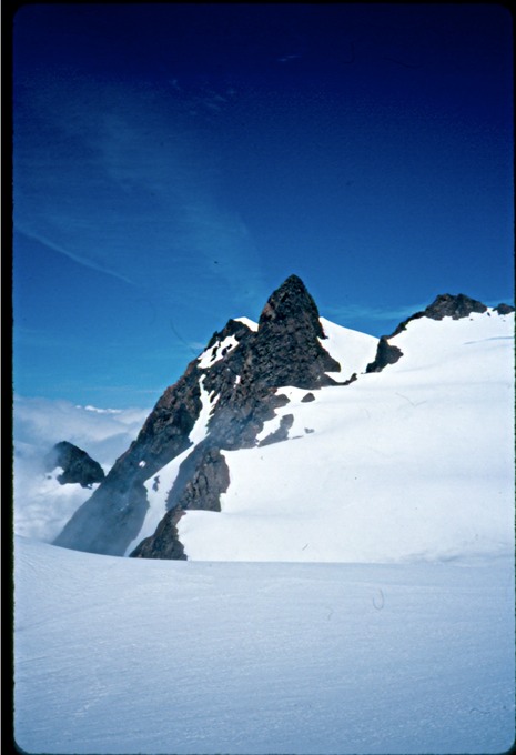 Olympus2n6503