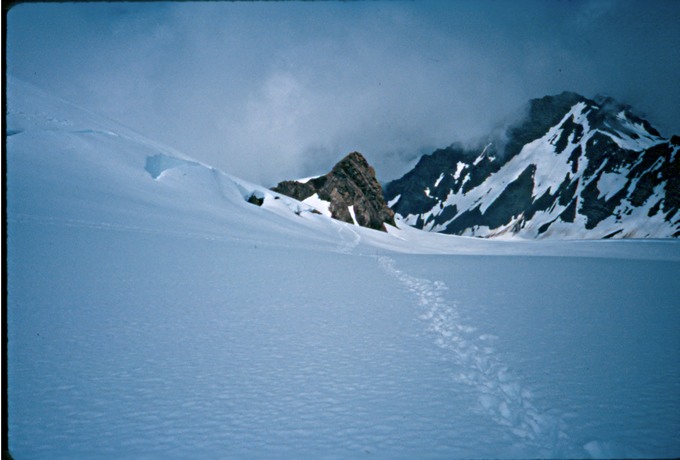 Olympus2n7301