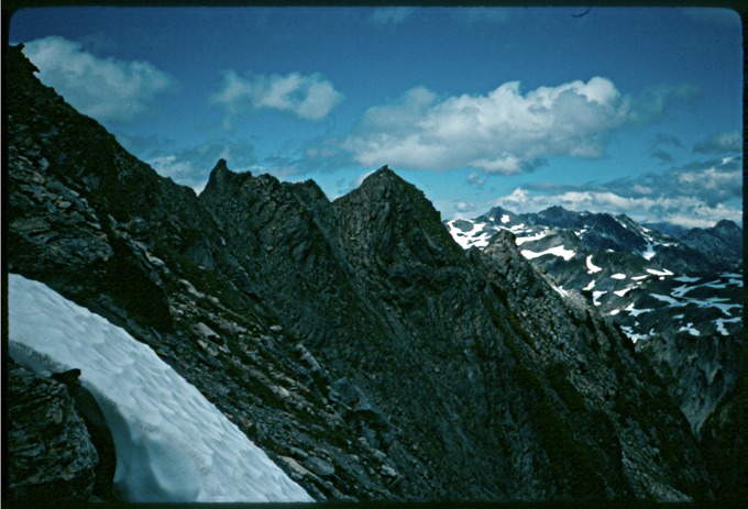OlyTrav1n50