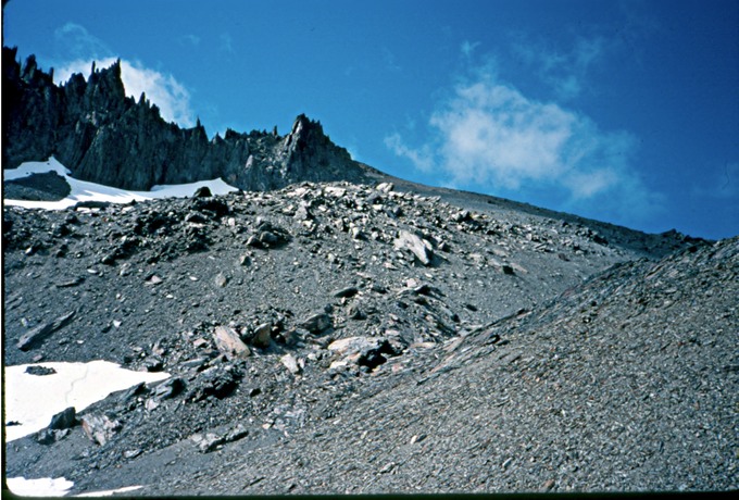 OlyTravT2n10101