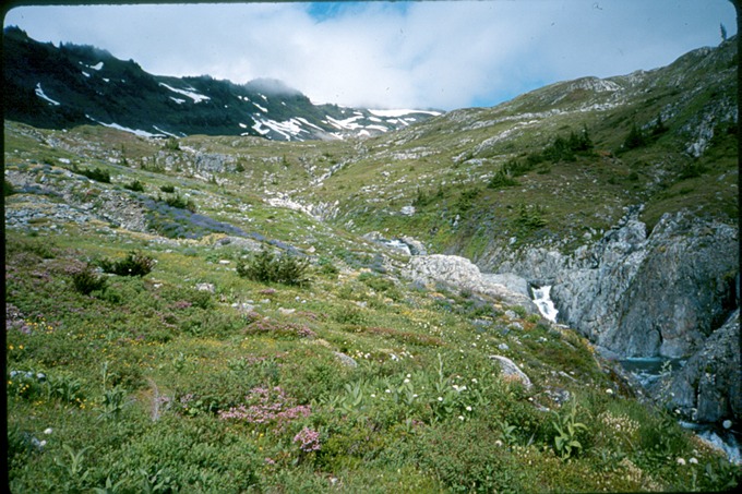OlyTravT2n9301