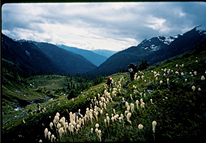 OlyTravT2n97