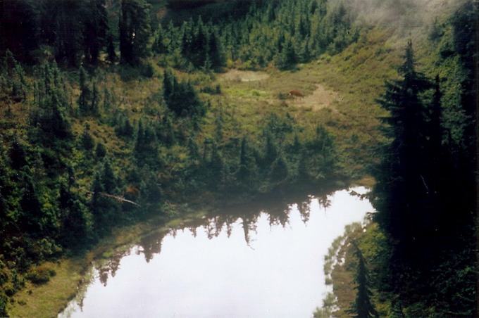 pic7LksBsn_Ab