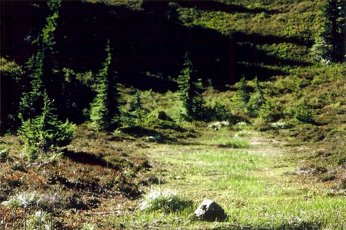 pic7LksBsn_Ac