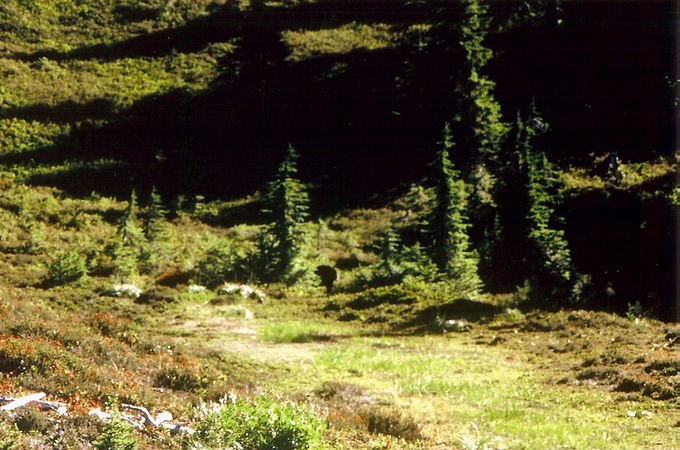 pic7LksBsn_Ad