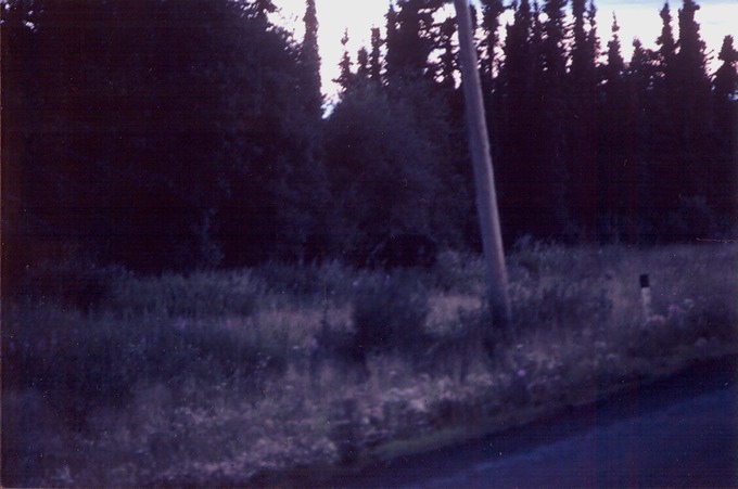 picAlCanHwy_BC_B