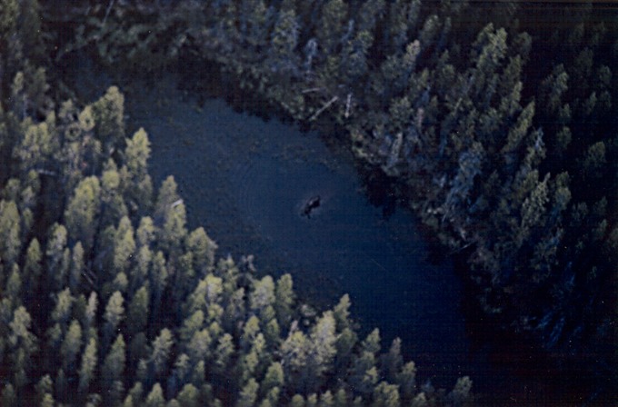 picBCflight11