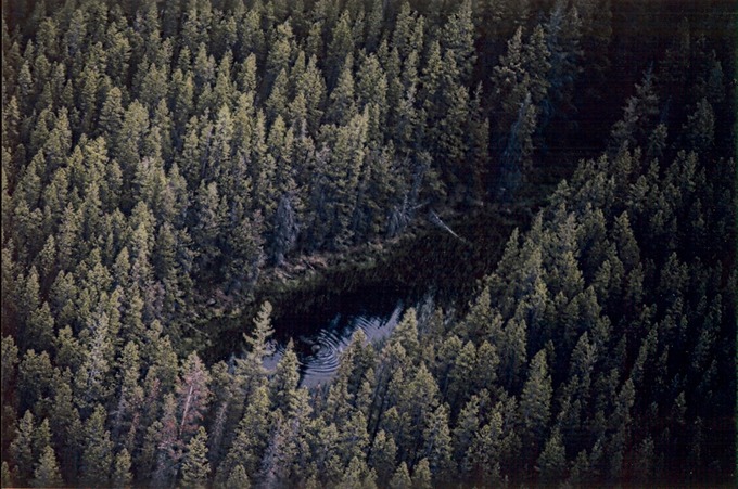picBCflight12