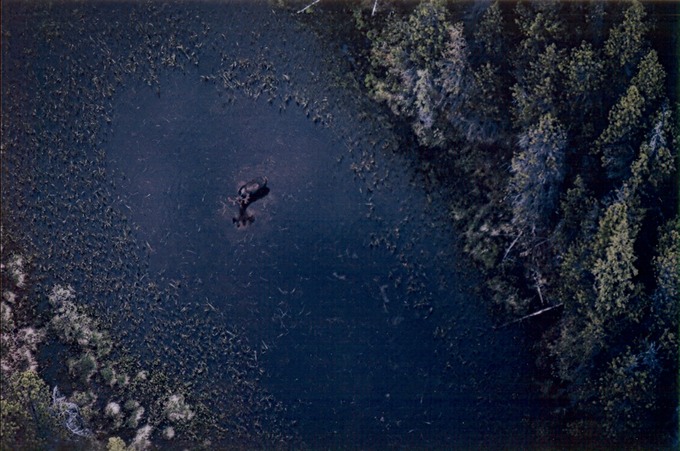 picBCflight13