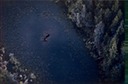 picBCflight13