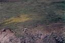picBCflight7