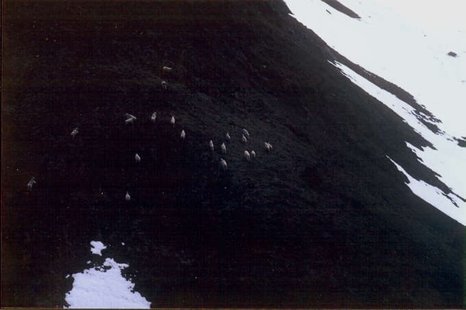 picBCflight8