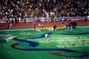 picGoodwillGamSld26