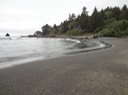 Redwoods_A_11
