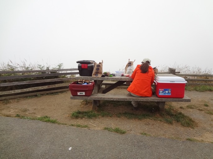 Redwoods_A_18