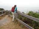 Redwoods_A_24
