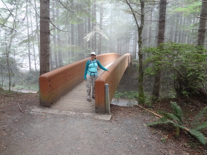 Redwoods_C_26