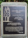 Redwoods_C_36