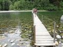Redwoods_D_14